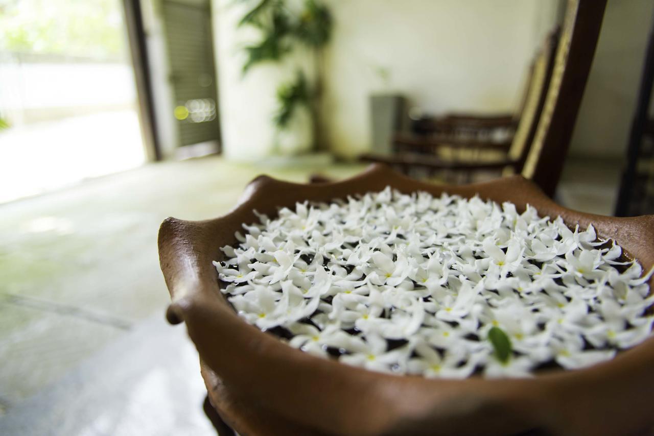 Hotel Sunshine Colombo Eksteriør billede